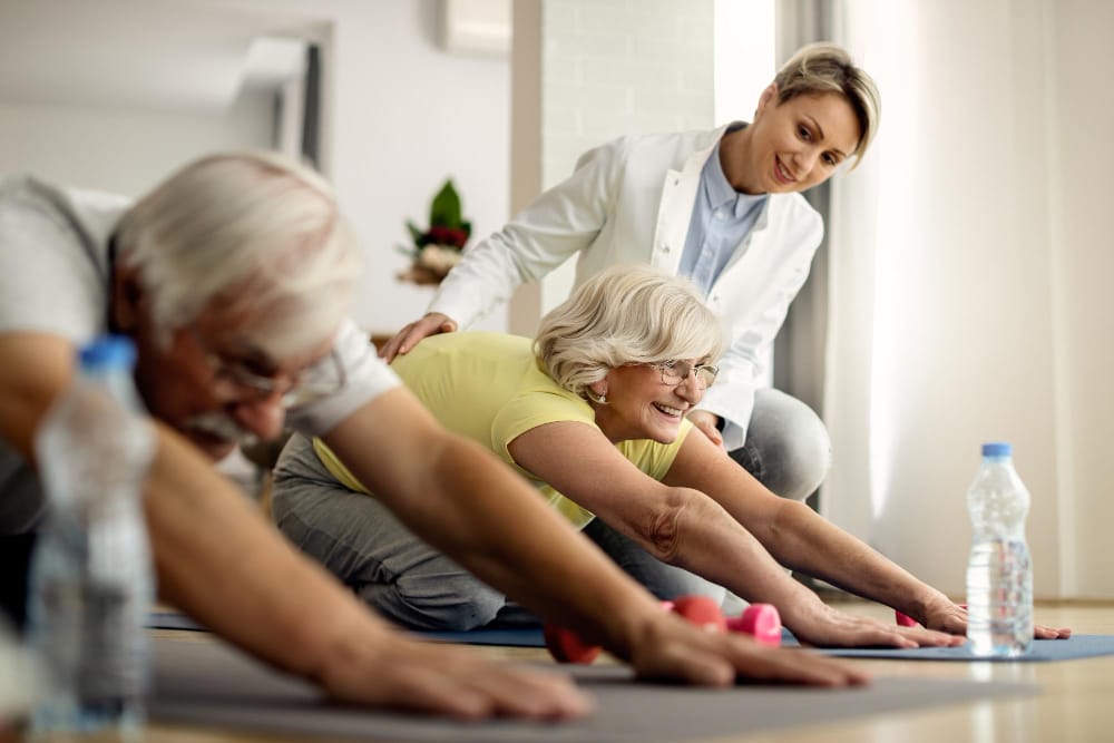 fisioterapia geriátrica